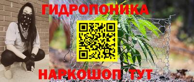 прущие крисы Обнинск