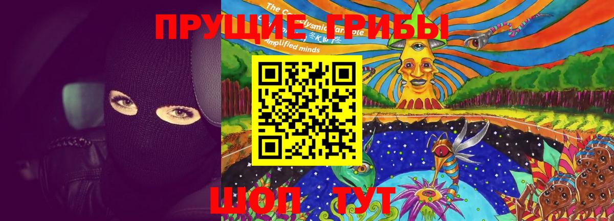 Псилоцибиновые грибы Psilocybine cubensis  Вход с VPN  Когалым 
